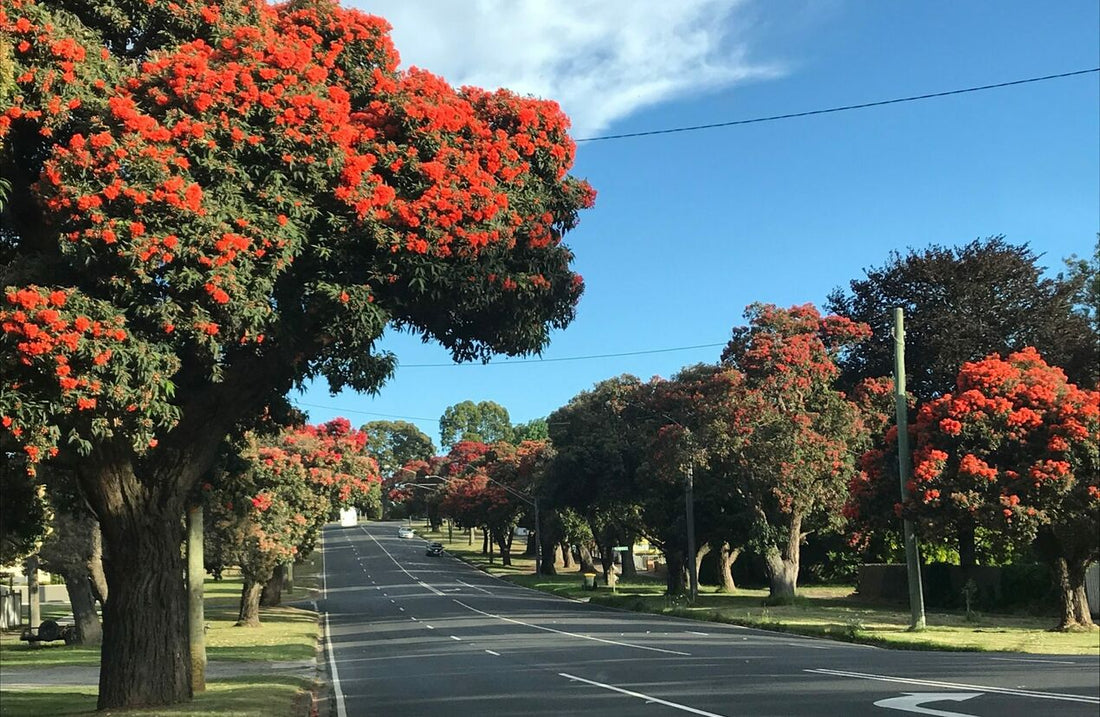 NDIS Support Services in Drouin - Beyond