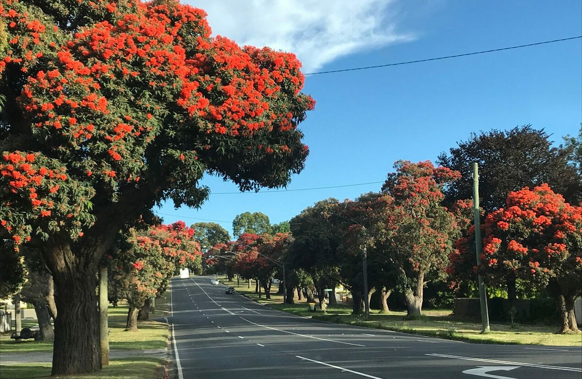 NDIS Support Services in Drouin - Beyond