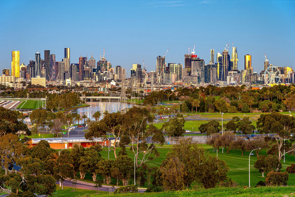 NDIS Support Services in Flemington - Beyond