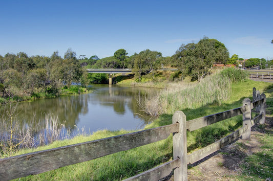 NDIS Support Services in Highton - Beyond