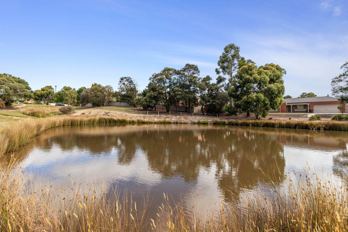 NDIS Support Services in Invermay Park - Beyond