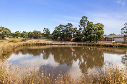 NDIS Support Services in Invermay Park - Beyond