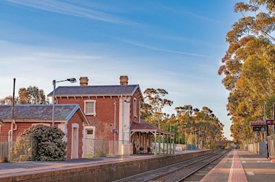 NDIS Support Services in Kangaroo Flat - Beyond