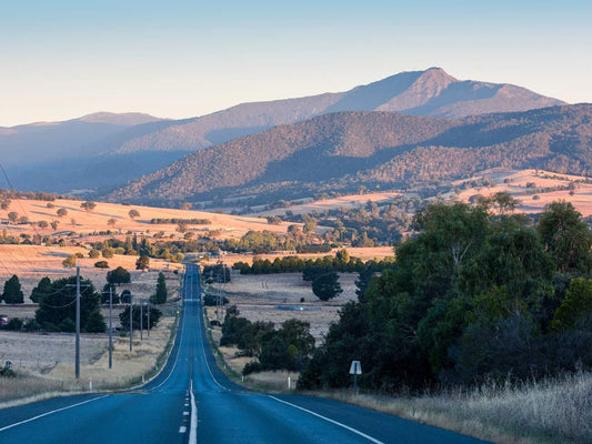 NDIS Support Services in Mansfield - Beyond