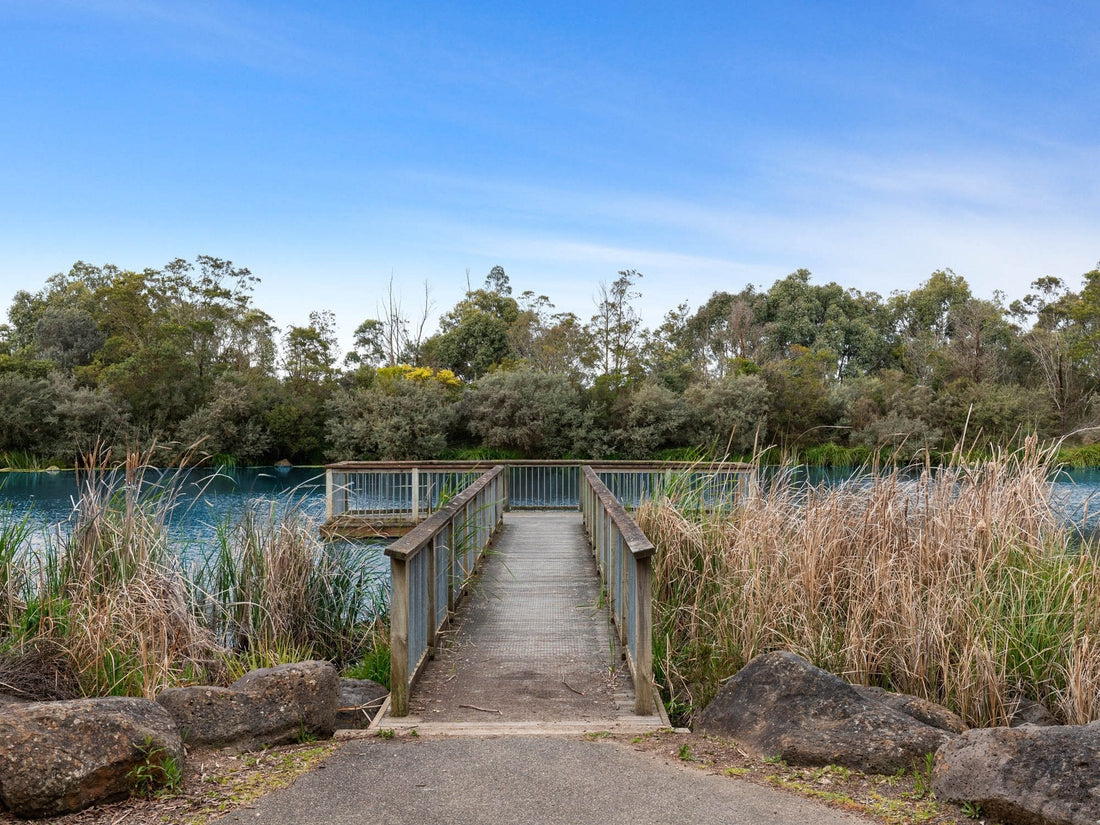 NDIS Support Services in Miners Rest - Beyond