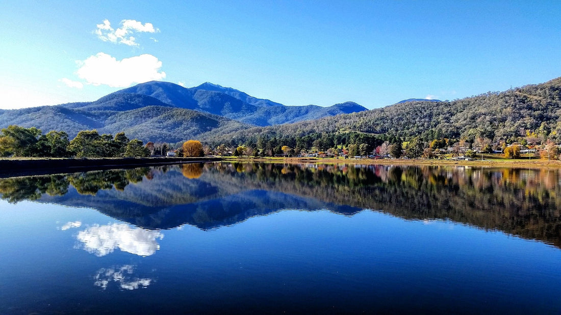 NDIS support worker in Mount Beauty assisting participant with daily living activities and community access through Beyond Health Services.