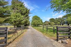 NDIS Support Services in Mount Wallace - Beyond