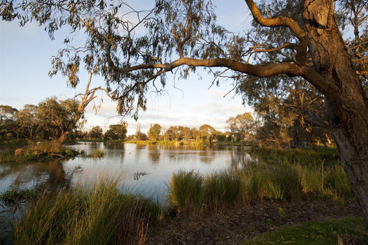 NDIS Support Services in Newtown - Beyond