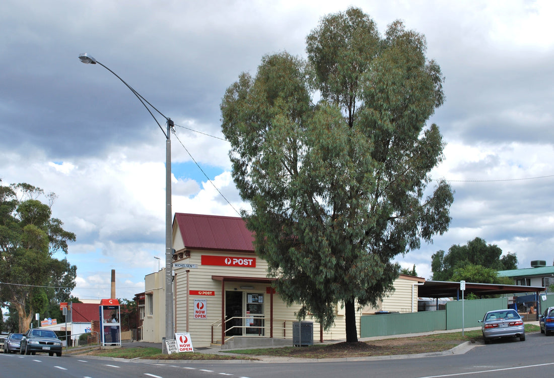 NDIS support worker in North Bendigo assisting participant with daily living activities and community access through Beyond Health Services.