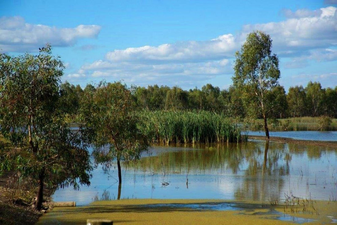 NDIS Support Services in Numurkah - Beyond