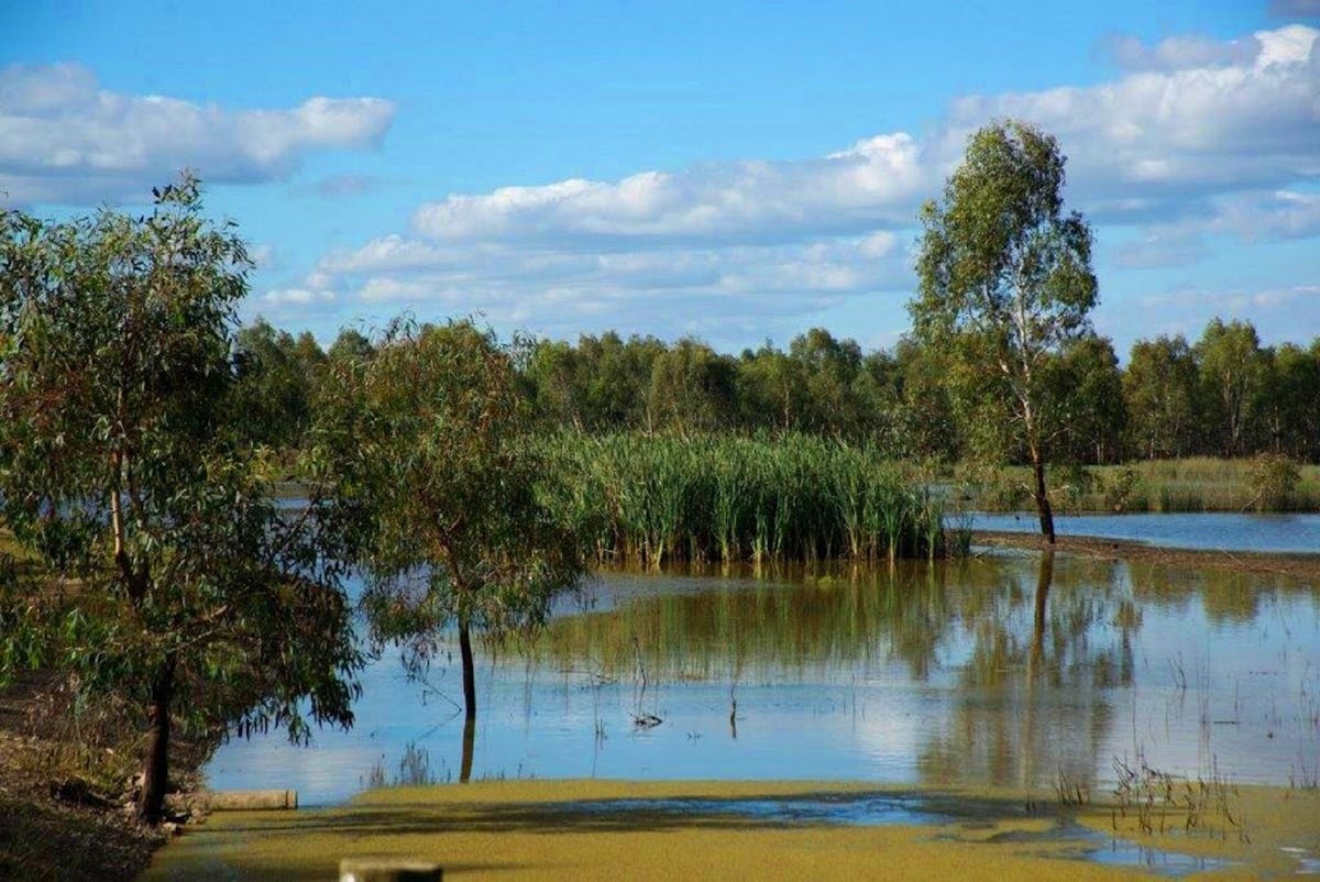 NDIS Support Services in Numurkah - Beyond