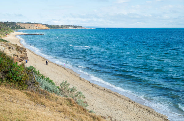 NDIS Support Services in Sandringham - Beyond