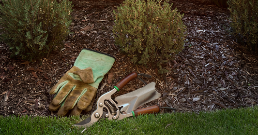 Gardening maintenance tools in an Australian garden