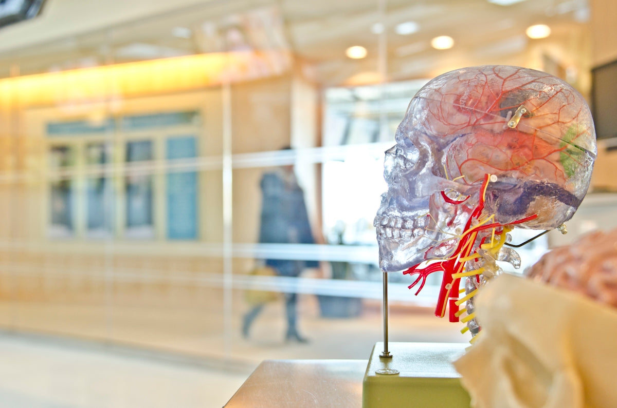 Traumatic Brain Injury and the NDIS - Beyond