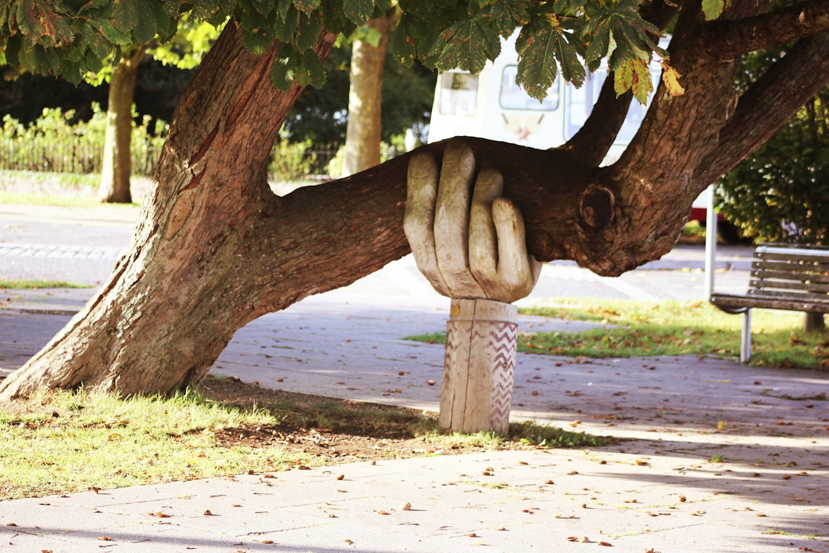 Home Care Assistance: Simplifying Elderly Support - Beyond