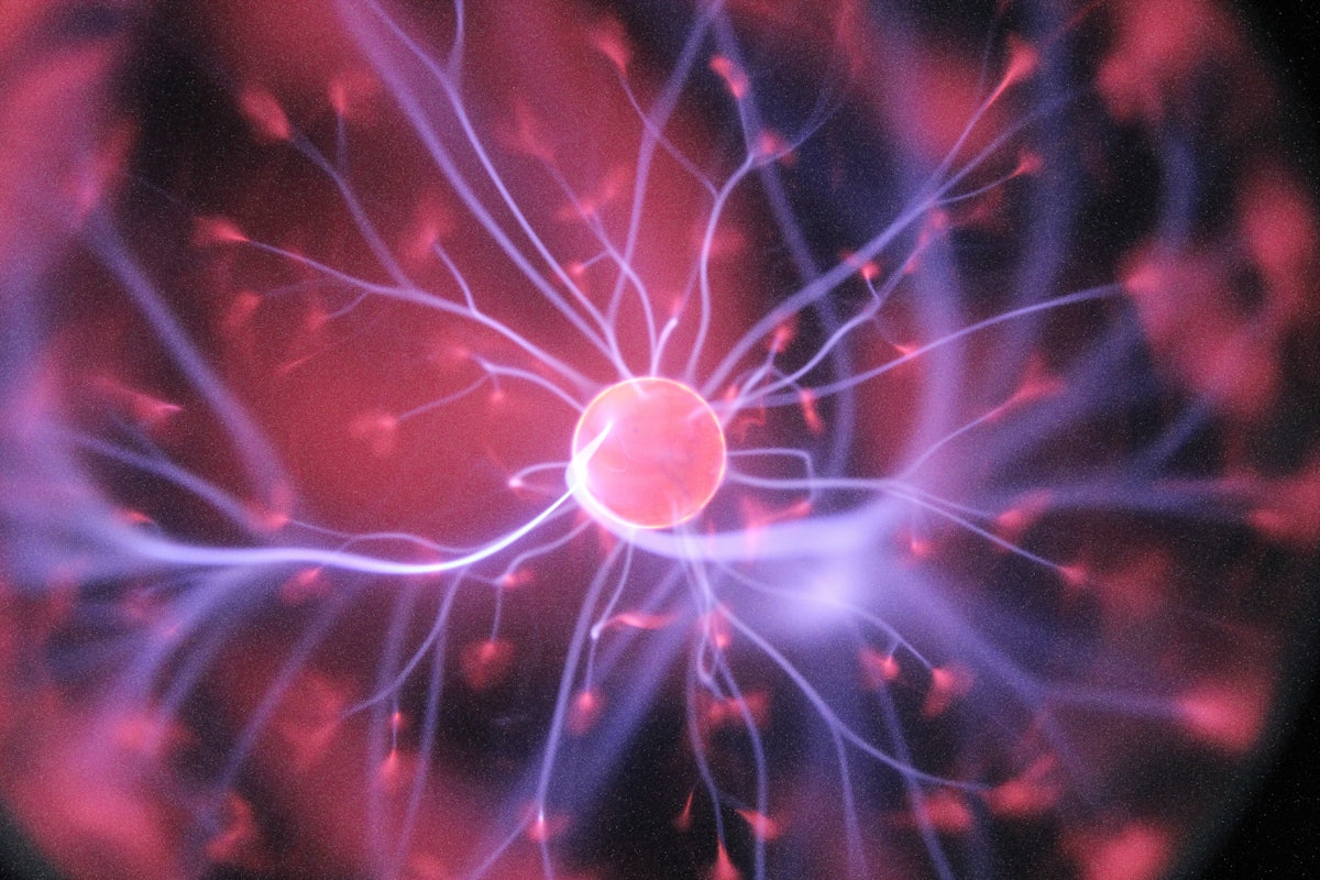 Huntington's Disease and the NDIS - Beyond