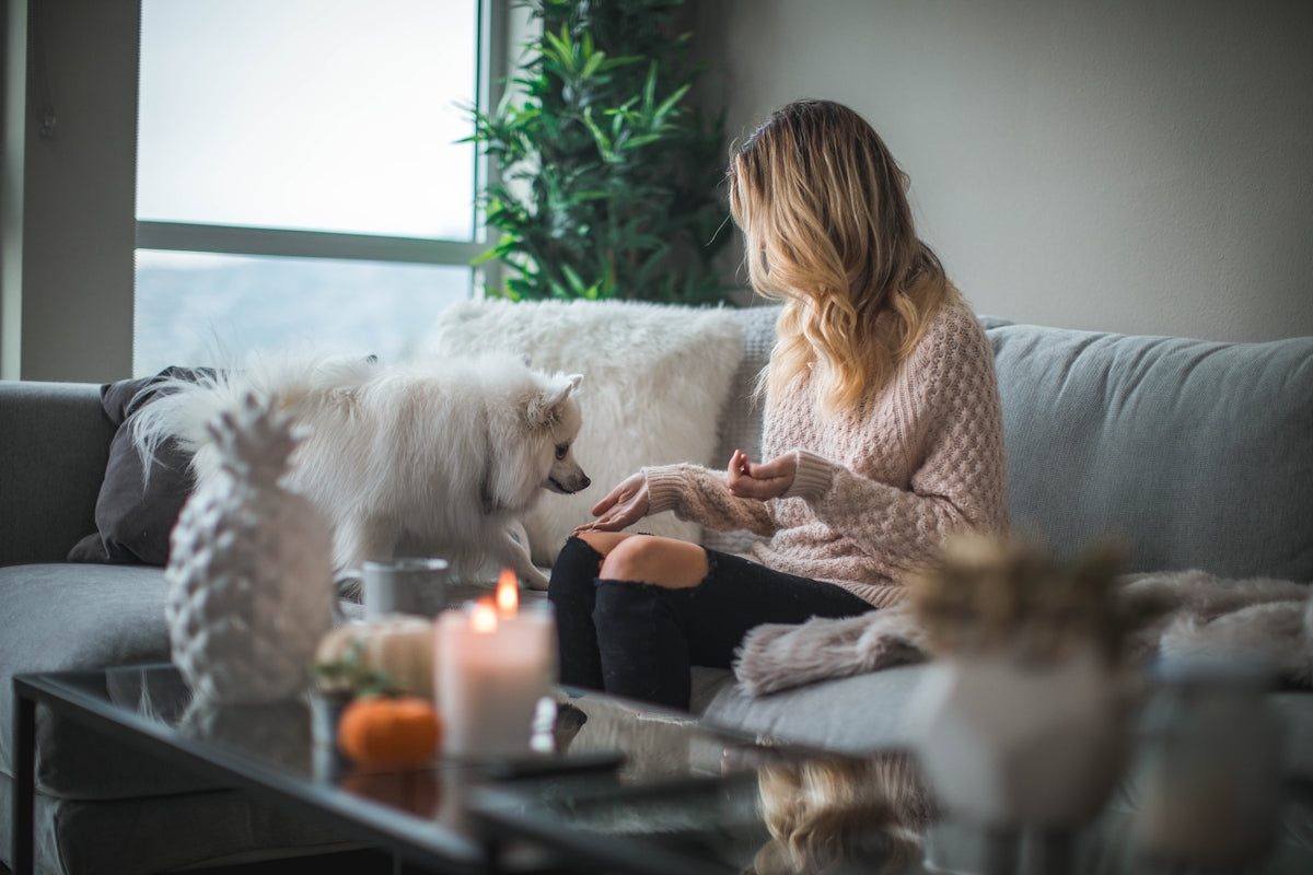 Insight into NDIS Home Modification and Accessibility Services - Beyond