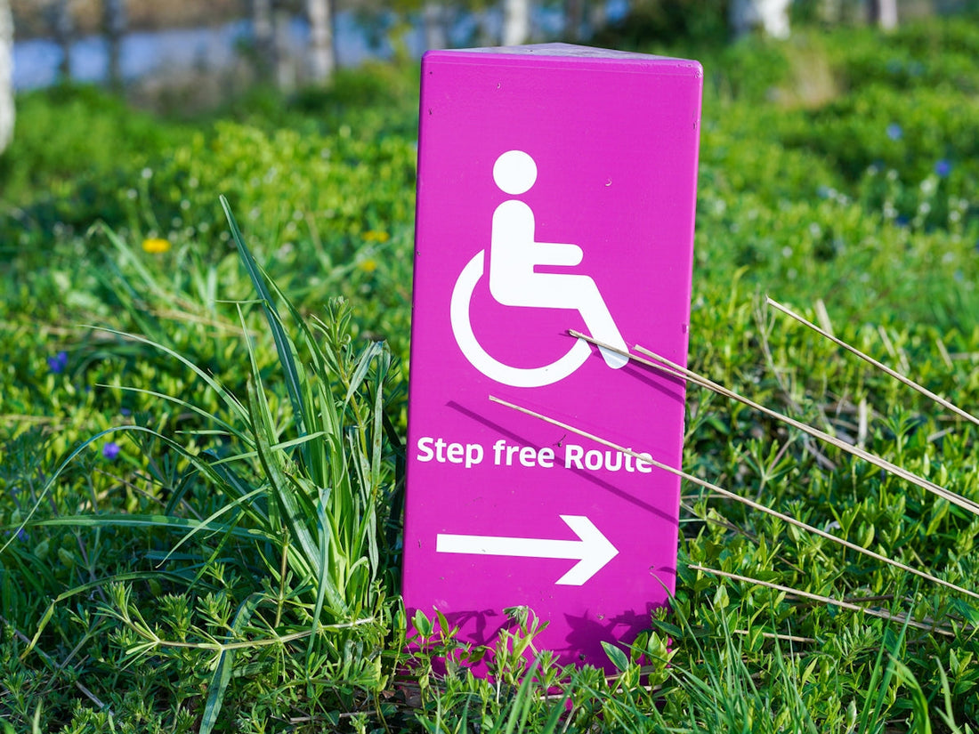 Pyroluria and the NDIS - Beyond