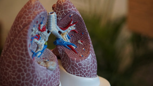 Cystic Fibrosis and the NDIS in Melbourne - Beyond