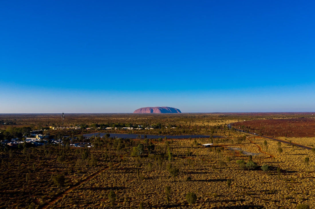 bird's eye view photography of field under blue sky