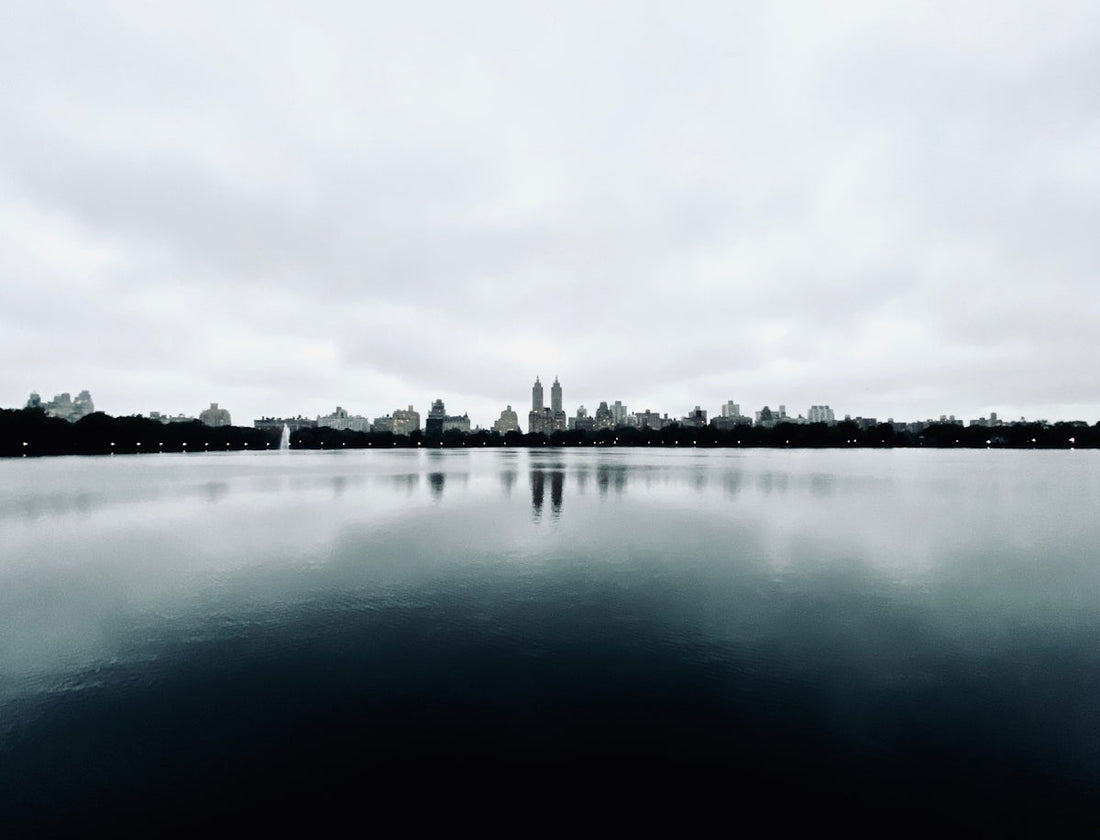 grayscale photography of city with high-rise buildings viewing body of water