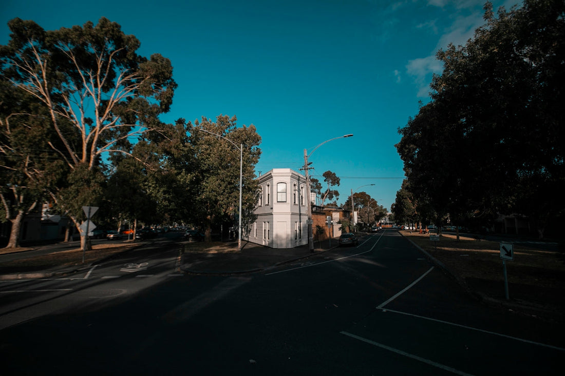 white house beaide trees