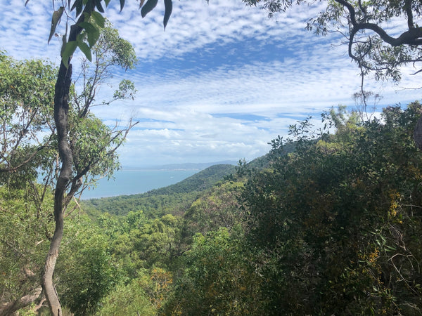 Aldinga