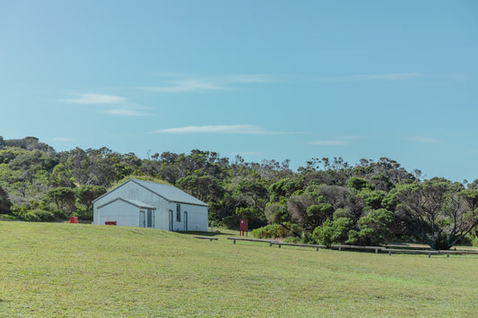 white and gray house on green grass field