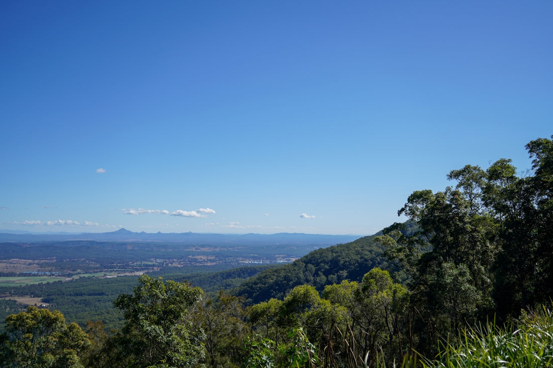 a view of a valley and mountains from the top of a hill