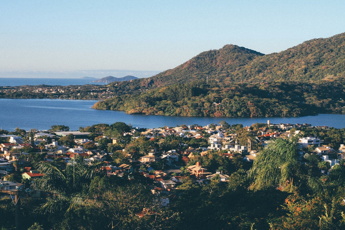 green and brown mountain beside body of water during daytime
