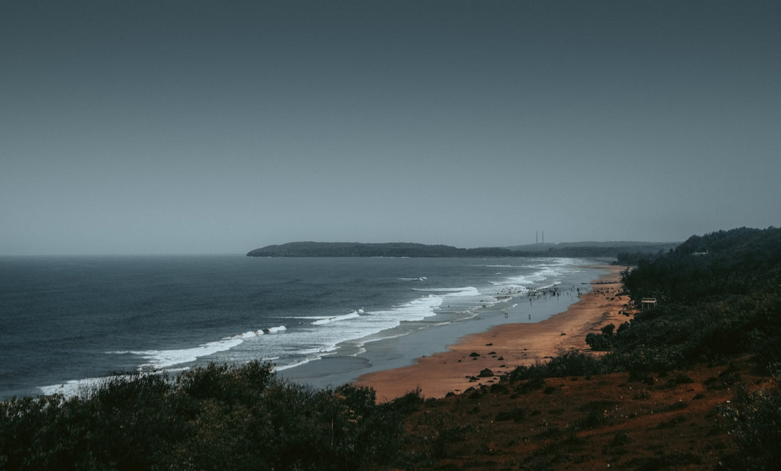 green trees near sea during daytime