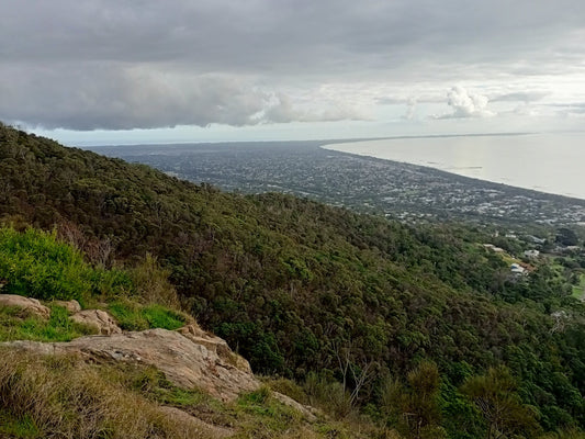 green grass field near body of water under cloudy sky during daytime