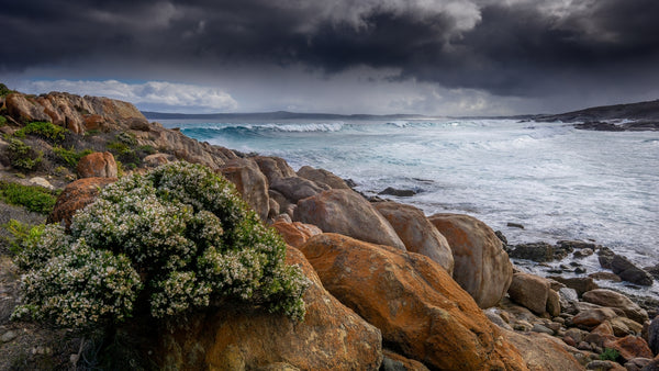 Mindarie