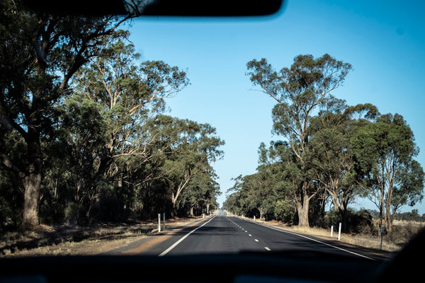 Payneham