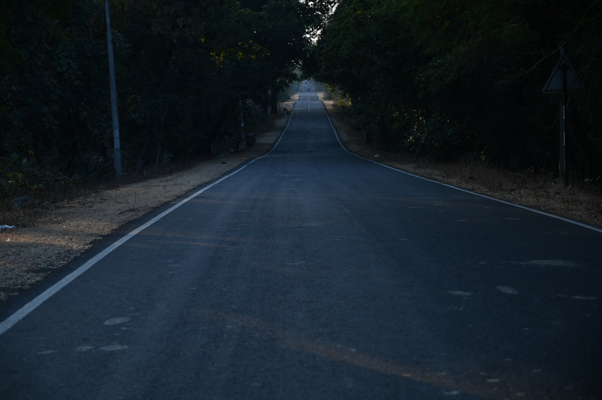 empty road in between trees