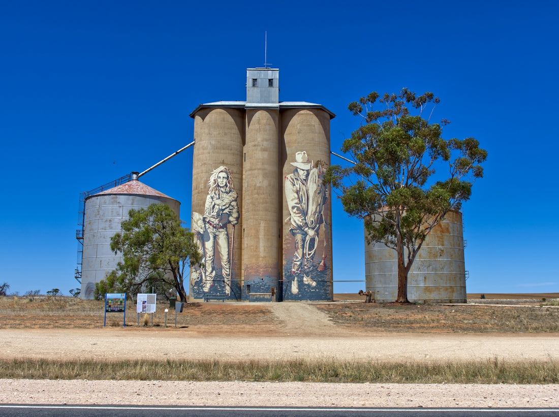 brown and white concrete building near green trees under blue sky during daytime