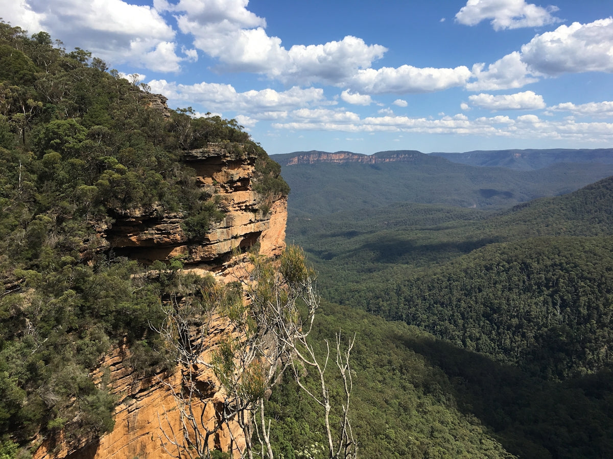 green trees on brown rocky mountain under blue and white cloudy sky during daytime