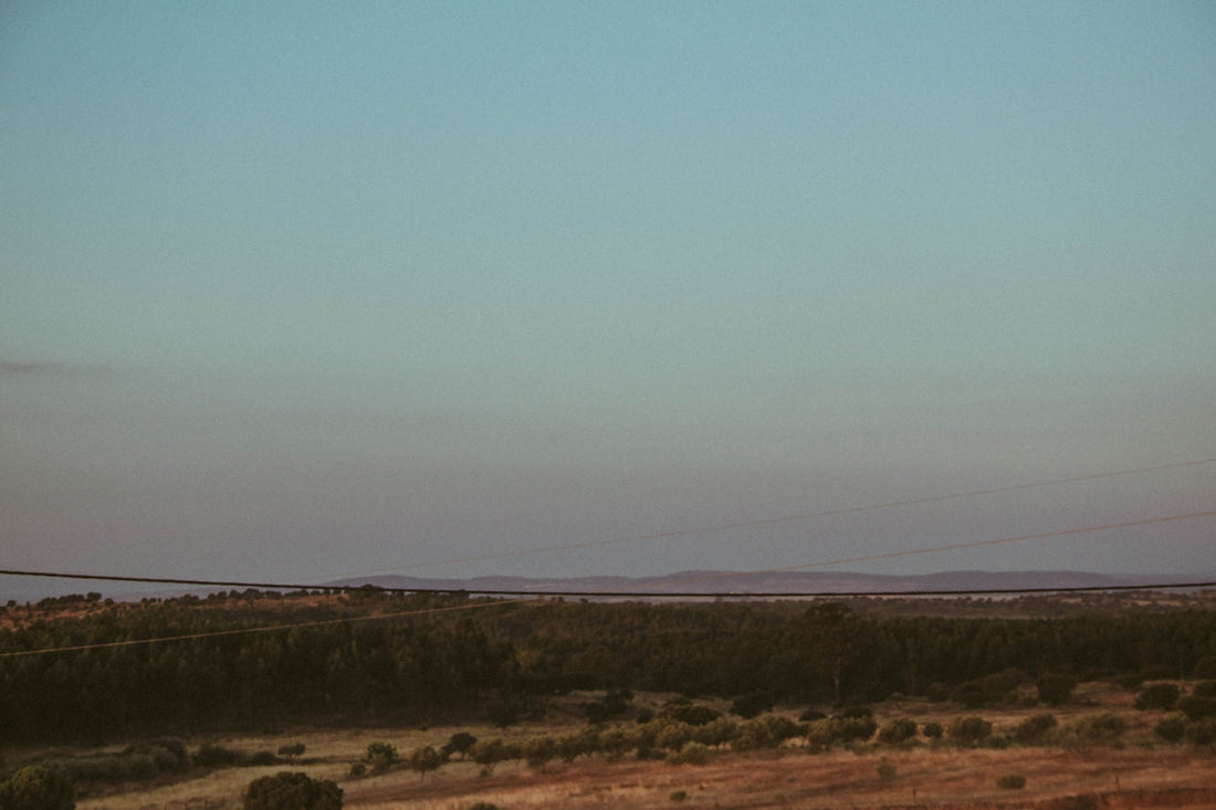brown field under blue sky during daytime