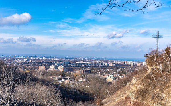 Hamilton Hill