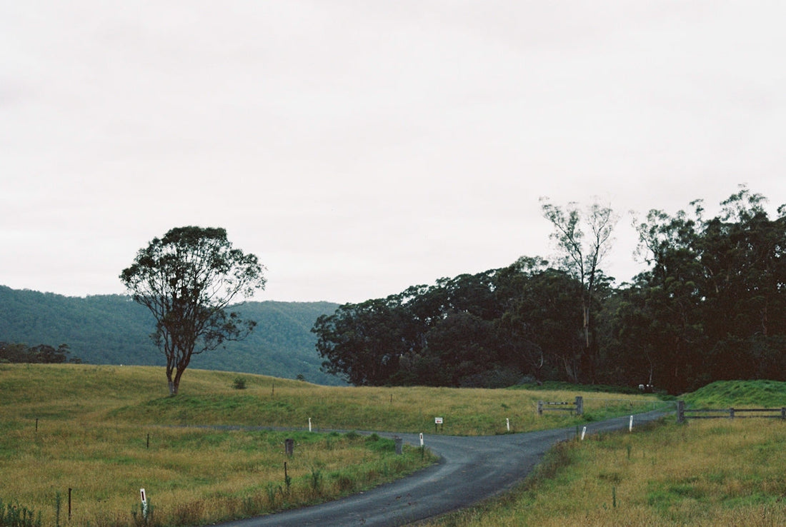 gray asphalt road between green grass field during daytime