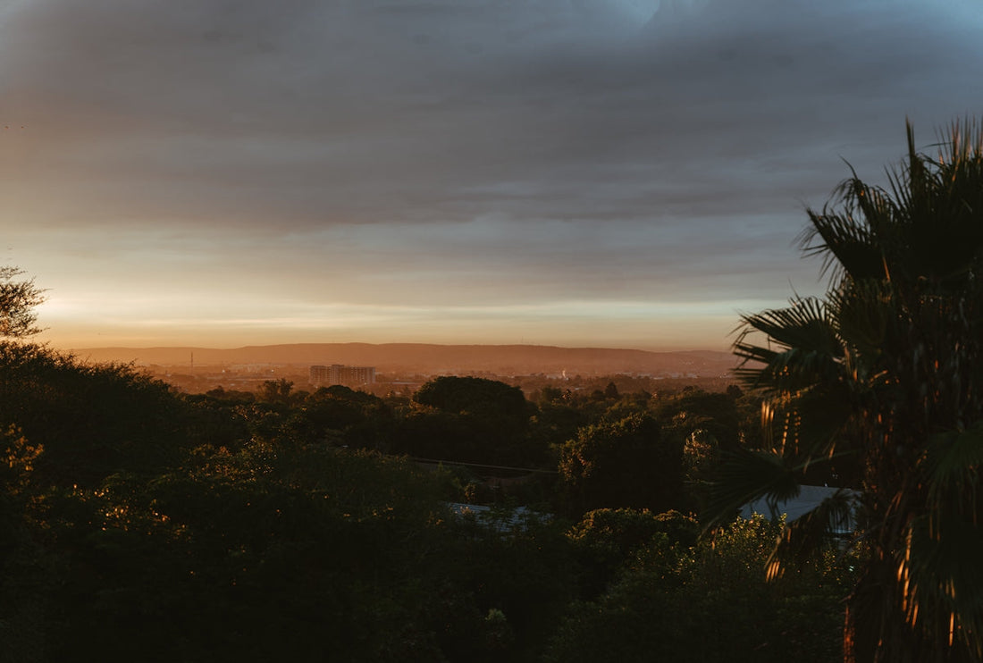 green trees under white clouds during sunset