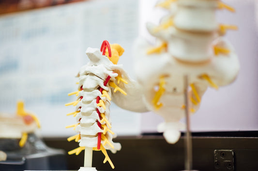 Amyotrophic Lateral Sclerosis and the NDIS - Beyond
