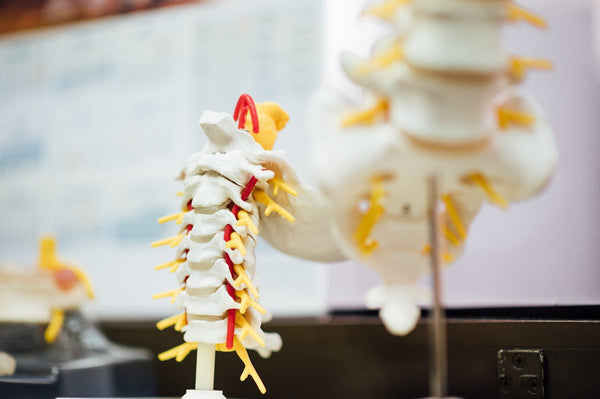 Amyotrophic Lateral Sclerosis and the NDIS - Beyond