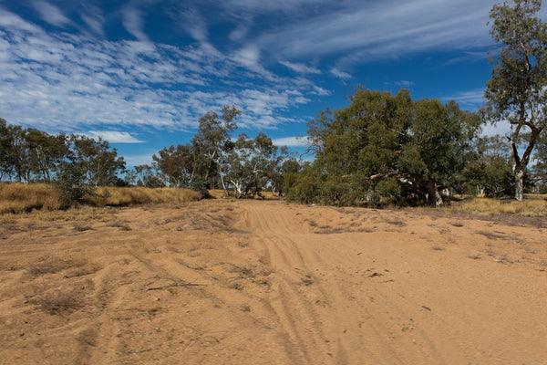 Broome