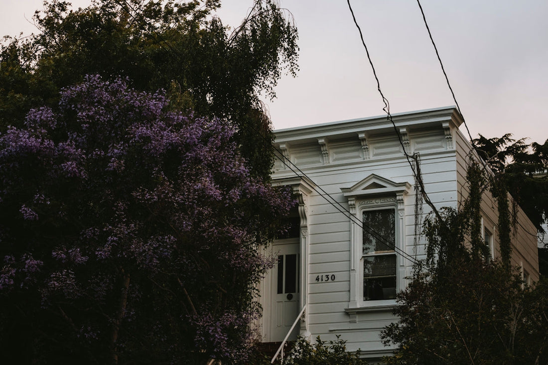 purple leaf tree near white wooden house