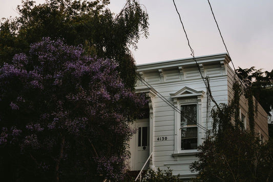 purple leaf tree near white wooden house