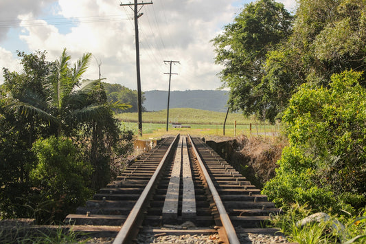 brown train rail near green trees during daytime