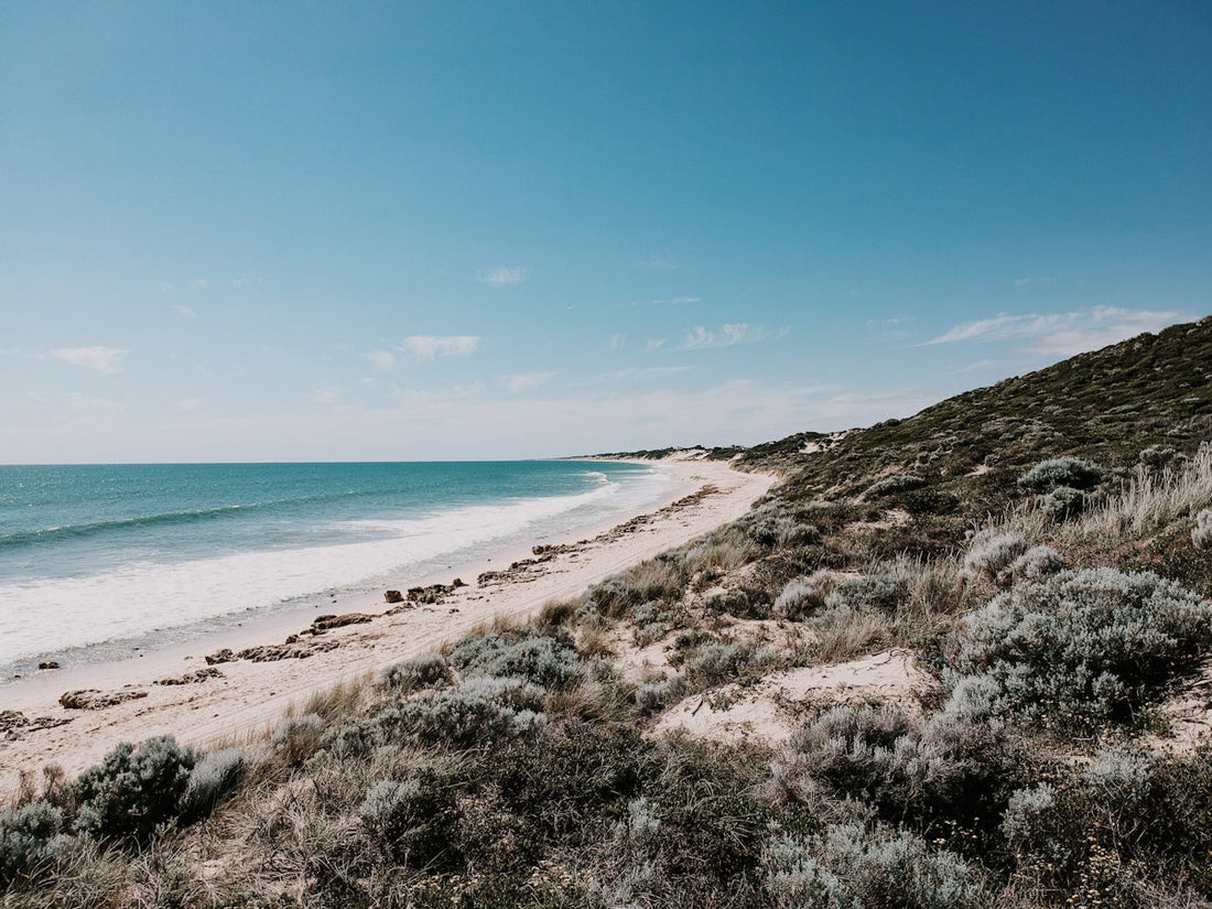 a view of a sandy beach and the ocean