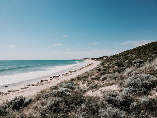 a view of a sandy beach and the ocean