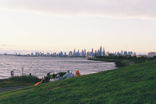 a group of people sitting on top of a lush green hillside
